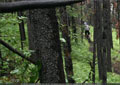 Alberta DH Cup 2008 - 010