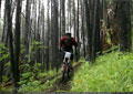 Alberta DH Cup 2008 - 011