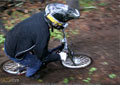 Alberta DH Cup 2008 - 018