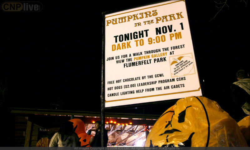 The yearly Pumpkins in the Park event is held at Flumerfelt Park in Coleman