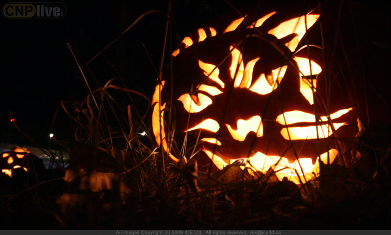Volunteers from the Coleman Fire Department start the bonfire