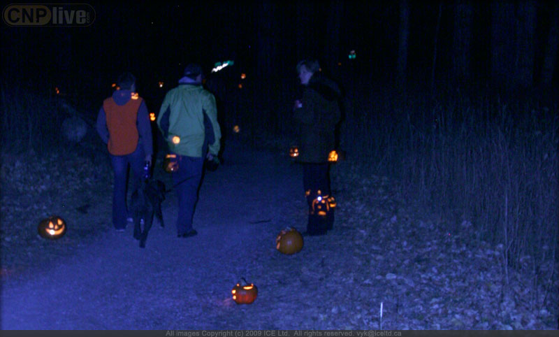 Pumpkins in the Park - Flumerfelt 008