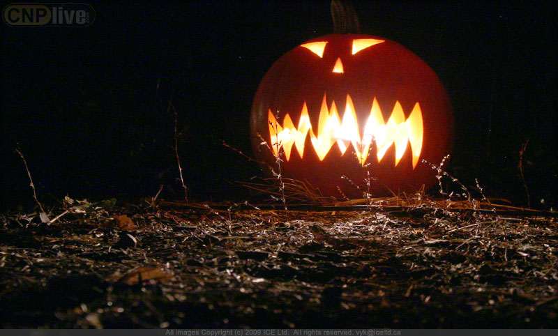 Pumpkins in the Park - Flumerfelt 009