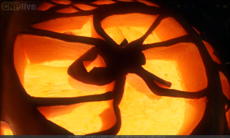 Pumpkins in the Park - Flumerfelt 011