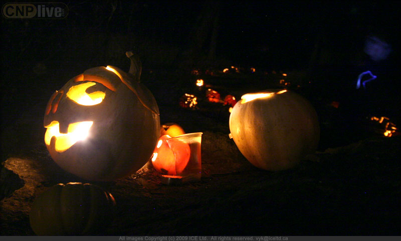 Pumpkins in the Park - Flumerfelt 012