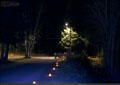 Pumpkins in the Park - Flumerfelt 002