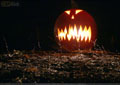 Pumpkins in the Park - Flumerfelt 009