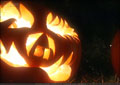 Pumpkins in the Park - Flumerfelt 010