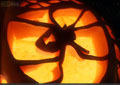 Pumpkins in the Park - Flumerfelt 011