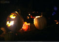 Pumpkins in the Park - Flumerfelt 012