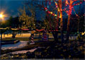 Santa in the Park - Flumerfelt 003