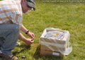 This single firework will shoot up over 30 metres into the air