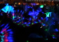 The crowds mix with the light designs at Thunder in the Valley