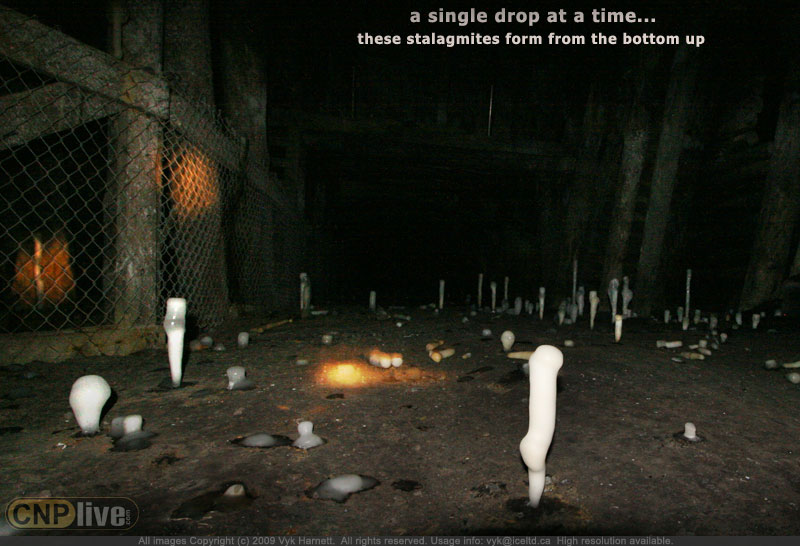 A single drop at a time ... these 'icicles' form from the bottom up; Bellevue Underground Mine