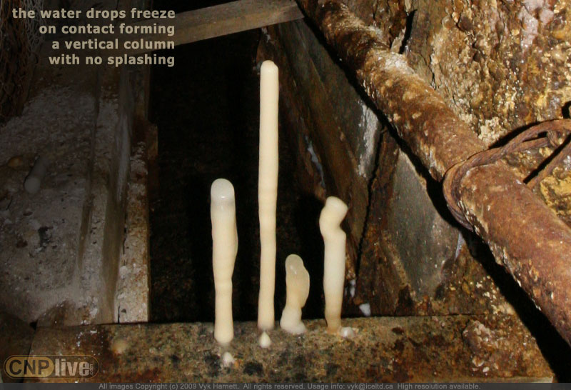 While most ground icicles grow in a straight vertical fashion, a moving drop source can throw a twist into things