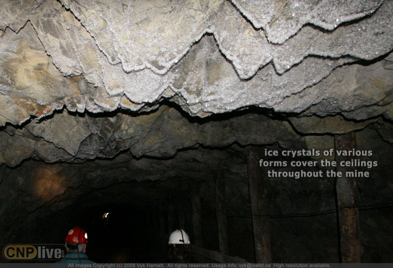 Ice crystals of various forms cover the ceilings throughout the Bellevue Underground Mine