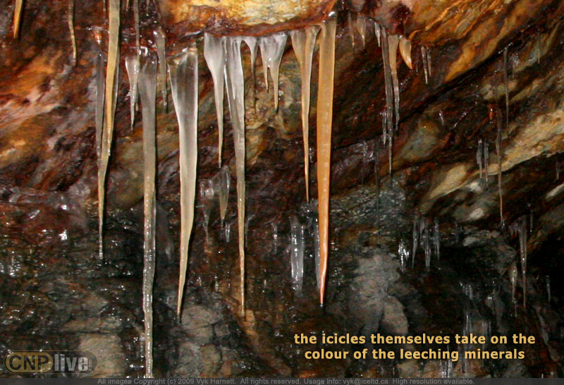 the icicles themselves take on the colour of the leeching minerals