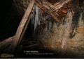a rich display of ice formations in the Bellevue Underground Mine