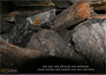 The coal was mined in large chunks which were later broken down at the Colleries