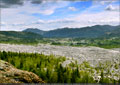 Bellevue (left of the highway) seen from the Frank Slide Interpretive Centre (looking east)
