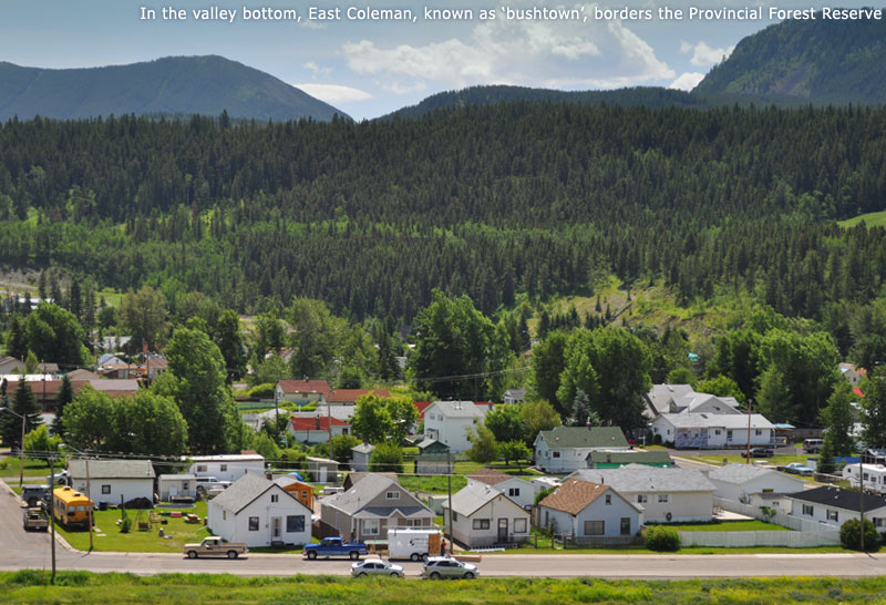 In the valley bottom, east Coleman, known as 'bushtown', borders the Provincial Forest Reserve