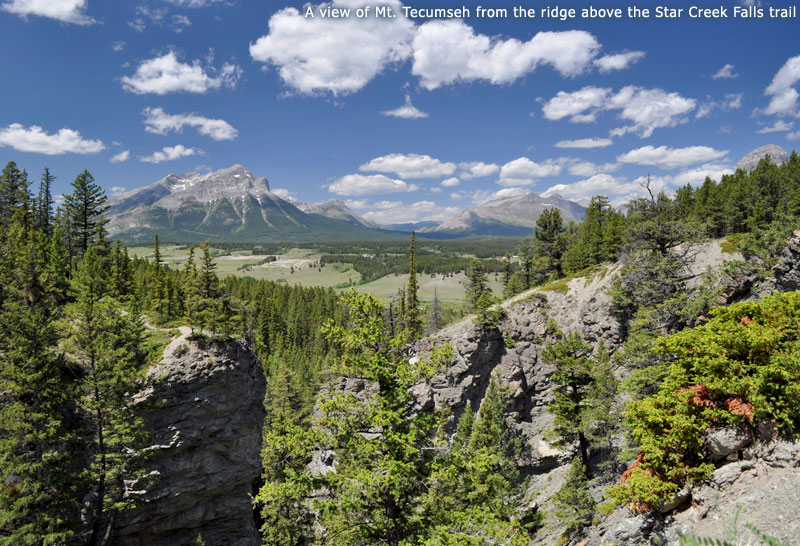 A view of Mt Tecumseh from the ridge above the Star Creek Falls trail