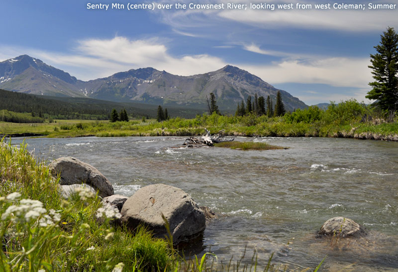 Sentry Mtn (centre) over the Crowsnest River; looking west from west Coleman; Summer
