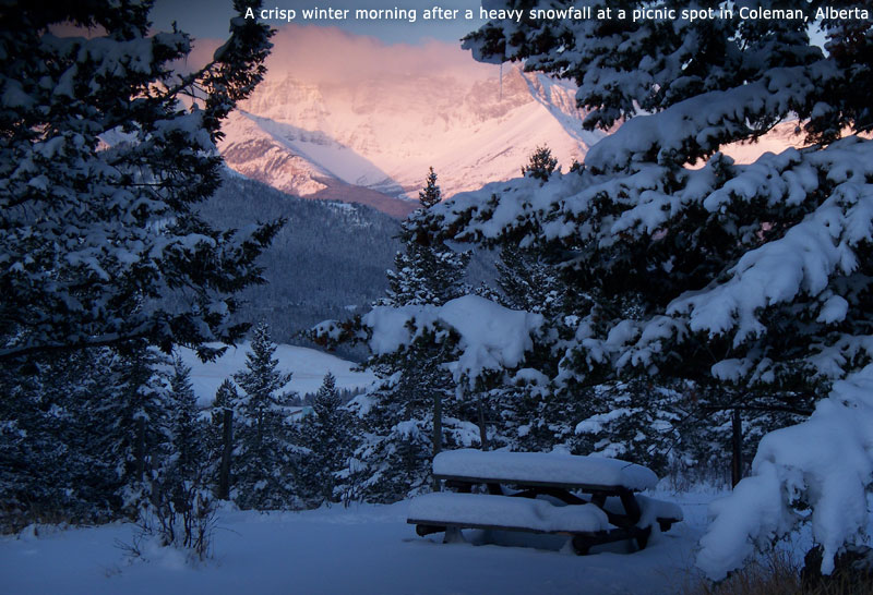 A crisp winter morning after a heavy snowfall at a picnic spot in Coleman, Alberta