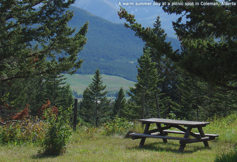 A warm summer day at a picnic spot in Coleman, Alberta