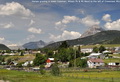 Horses grazing in lower Coleman; Allison Pk & Mt Ward to the left of Crowsnest Mtn