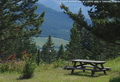A warm summer day at a picnic spot in Coleman, Alberta