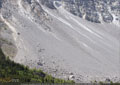 Skree slope at base of Frank Slide strewn with boulders