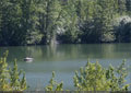 A relaxing afternoon fishing on Island Lake
