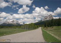 Allison Peak and Crownest Mtn seen from Allison Road