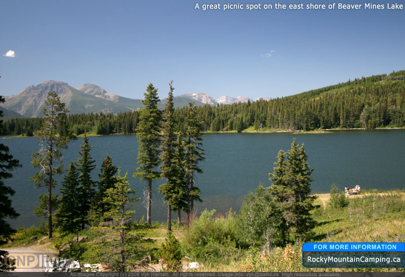 A great picnic spot on the east shore of Beaver Mines Lake