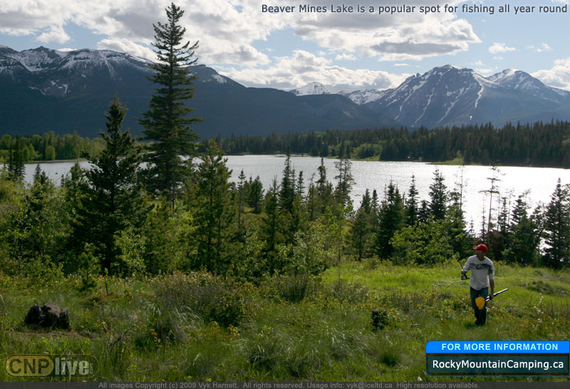 Beaver Mines Lake is a popular spot for fishing all year round