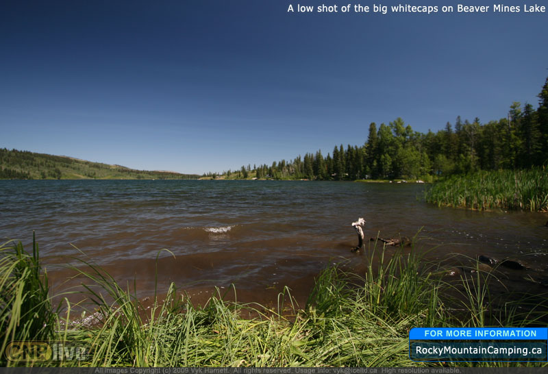 A low shot of the big whitecaps on Beaver Mines Lake