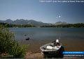 **NEWS FLASH** Queen Mary sighted on Beaver Mines Lake