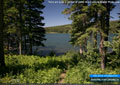 There are quite a number of paths in and around Beaver Mines Lake