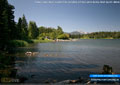 A lake photo shoot wouldn't be complete without some ducks; boat launch above