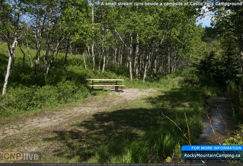 A small stream runs beside a campsite at Castle Falls Campground