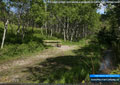 A small stream runs beside a campsite at Castle Falls Campground
