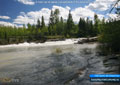 A small set of rapids just upstream of the main falls at Castle Falls Campground