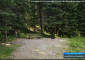 A campsite on the forest edge at Castle Falls Provincial Recreation Area