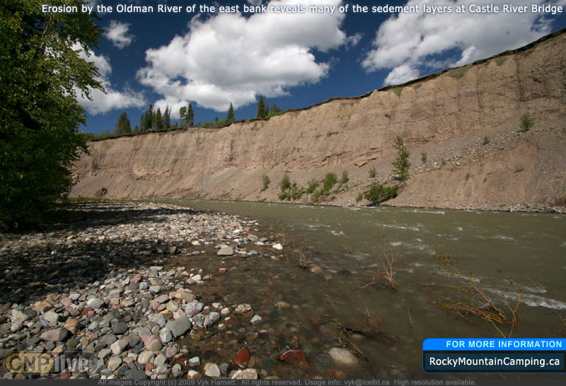 The Castle River has eroded the east bank revealing sedement layers at Castle River Bridge
