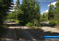 Drive-through campsite at Castle River Bridge