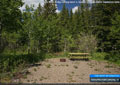 The Castle River Bridge campground is located in a sub-alpine vegetation zone