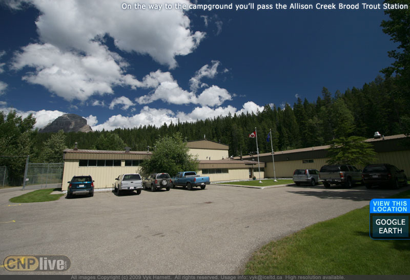 On the way to the campground you'll pass the Allison Creek Brood Trout Station