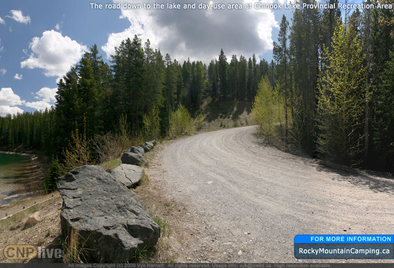 The road down to the lake and day-use area at Chinook Lake Provincial Recreation Area