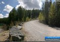 The road down to the lake and day-use area at Chinook Lake Provincial Recreation Area